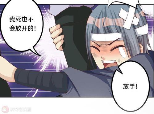 将军请出道漫画,穿越时空的喜剧传奇